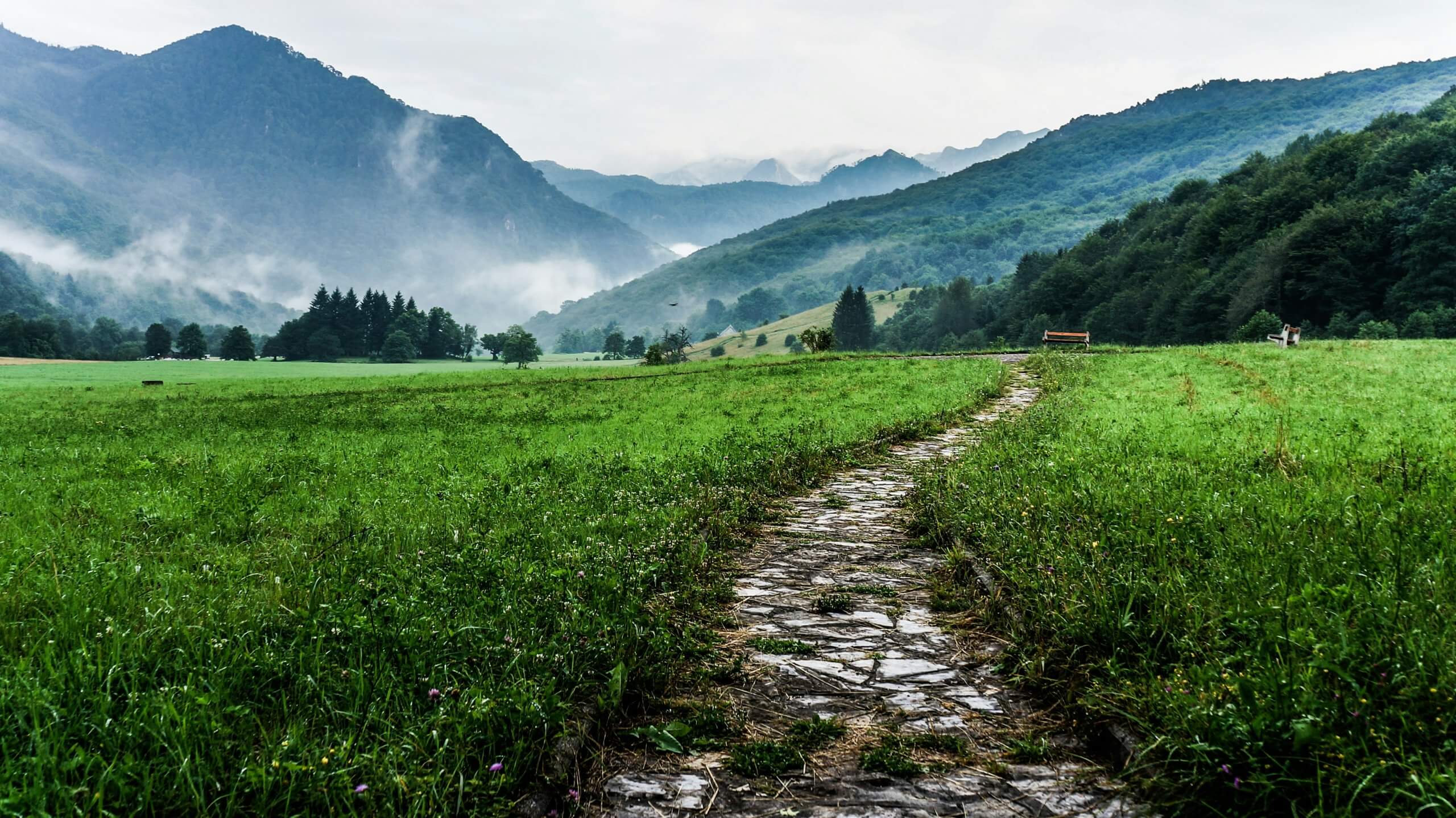 Weg, Wahrheit und Leben