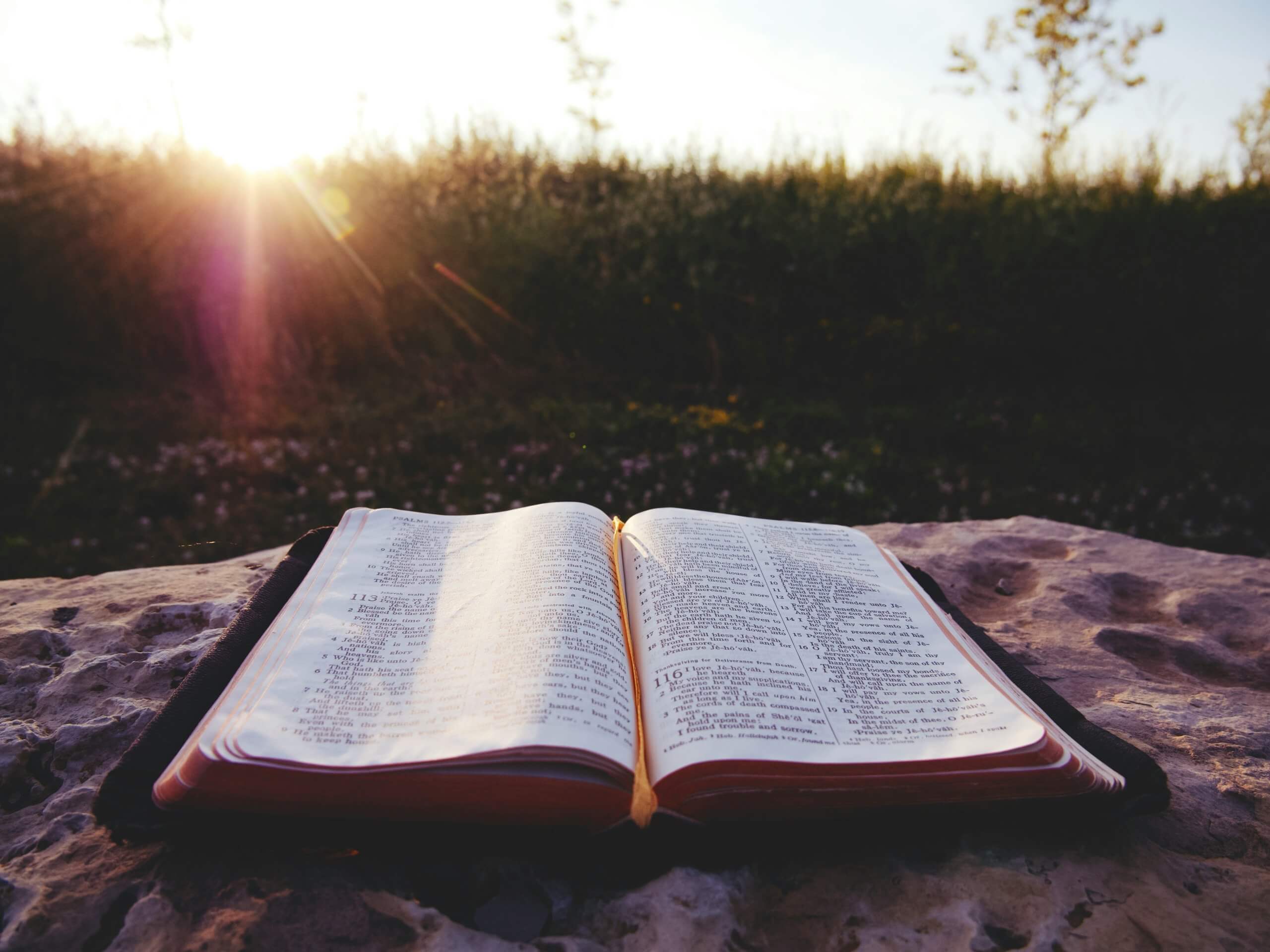 Seligpreisung in der Offenbarung